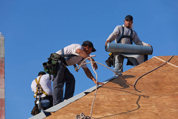 Best New Roof Installation  in Franklin Park, IL